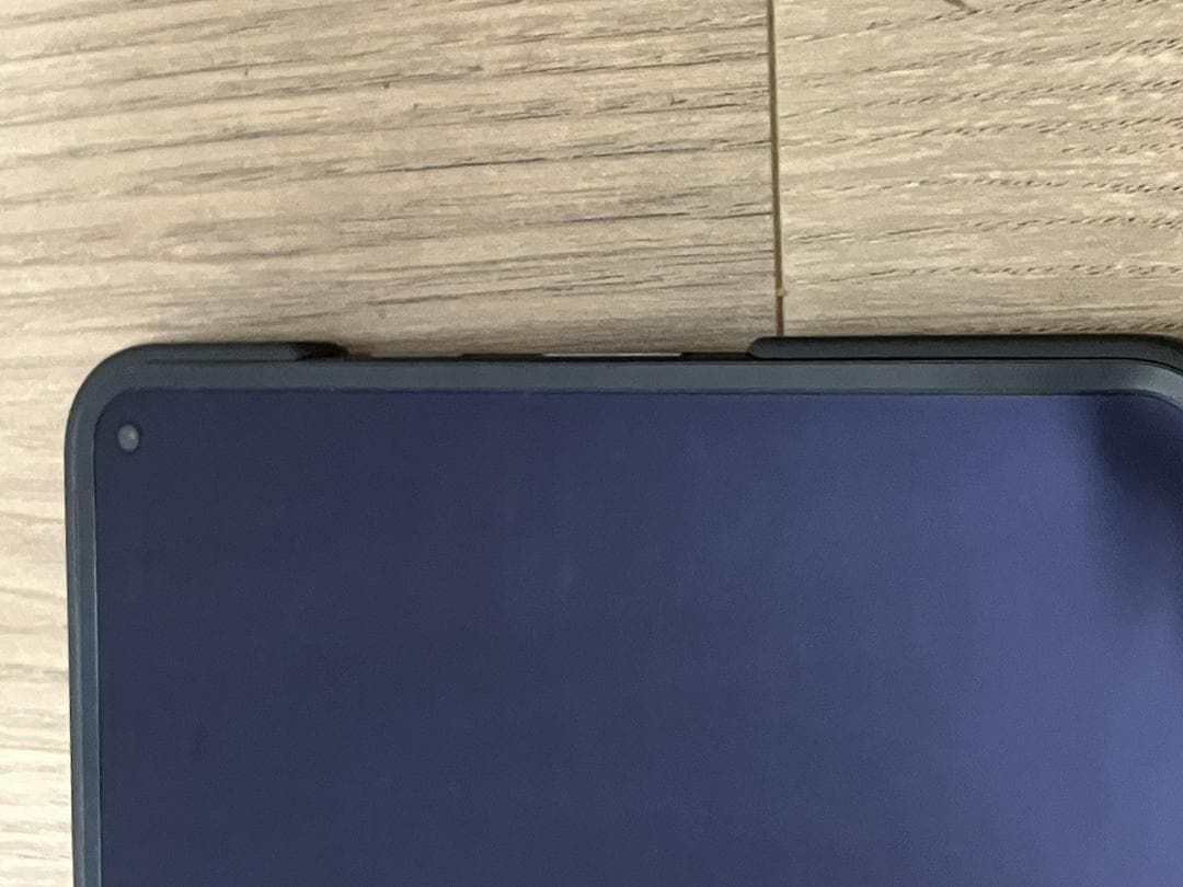 Google Pixel 9 Pro Fold 中古 (本体一式+オマケ)