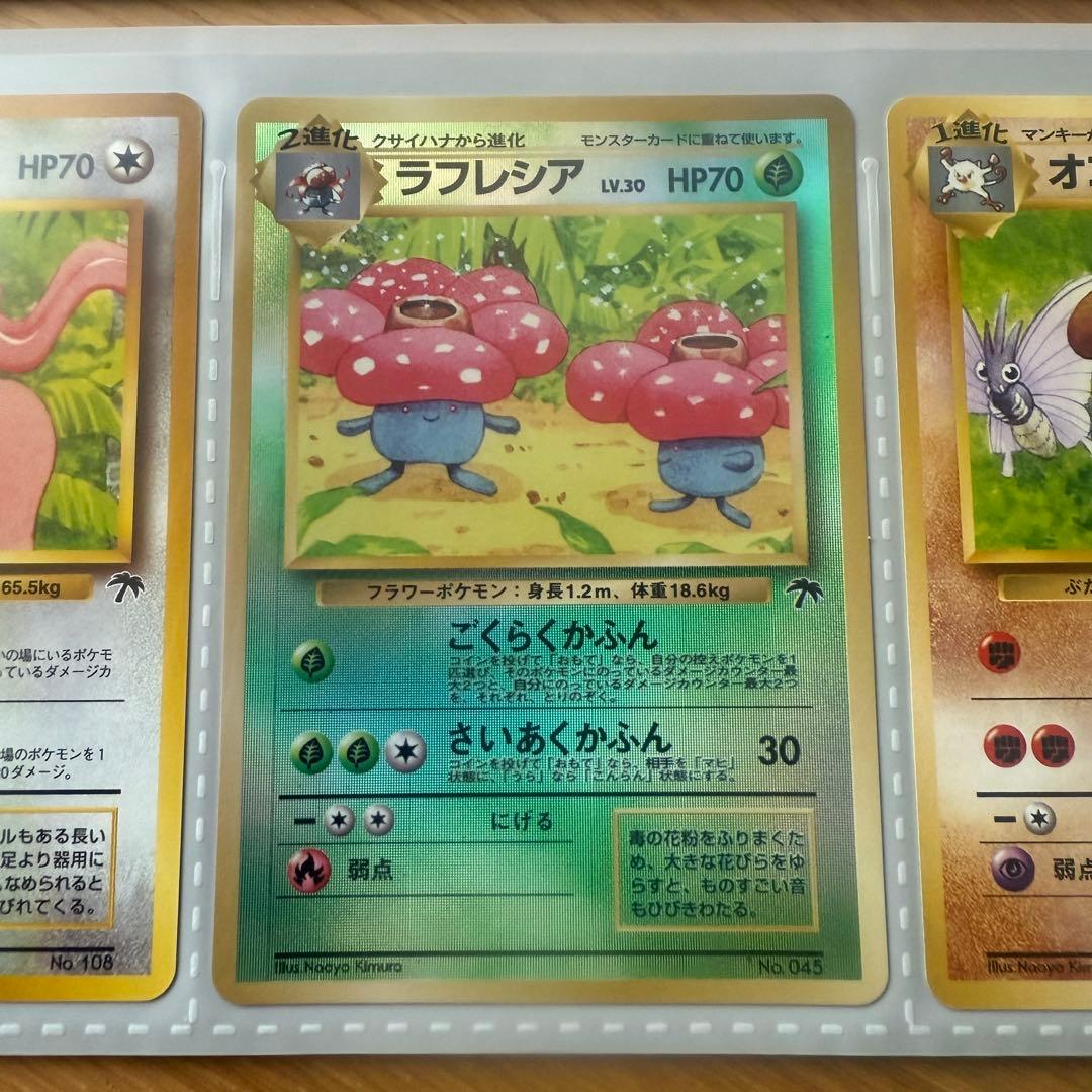 ポケモンカード トロピカルアイランド カード3枚セット