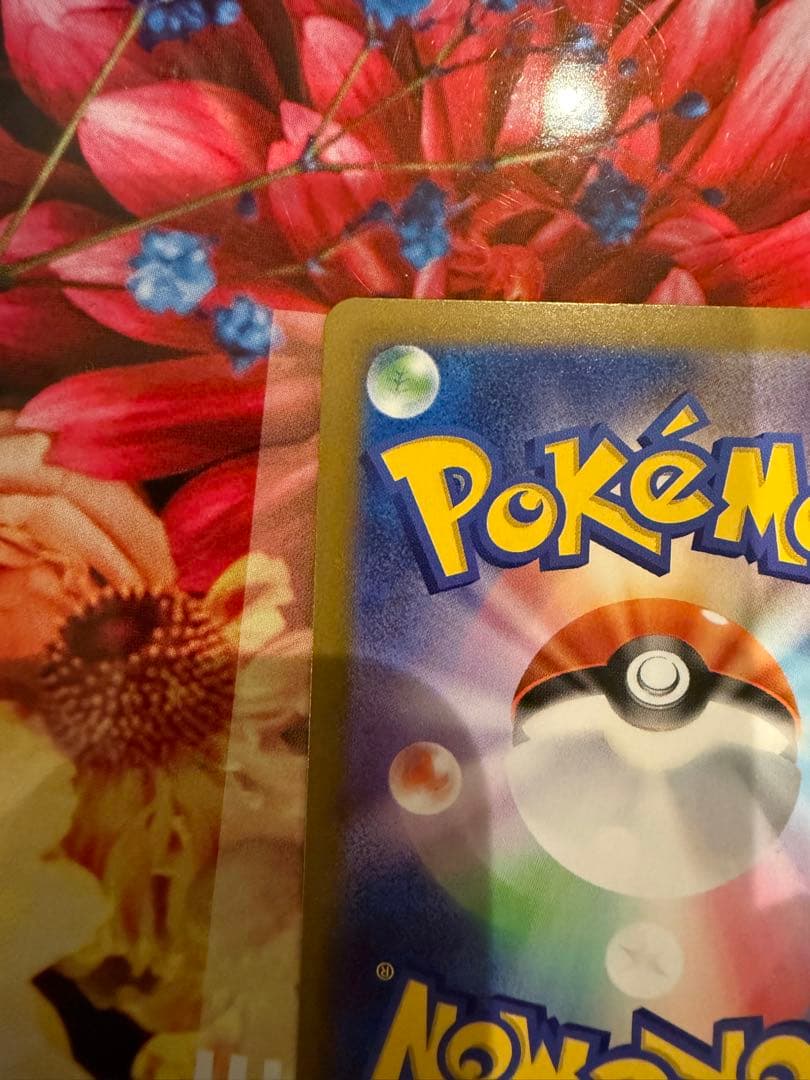 【極美品】 ポケモンカードメガリザードンXex SAR 110/080