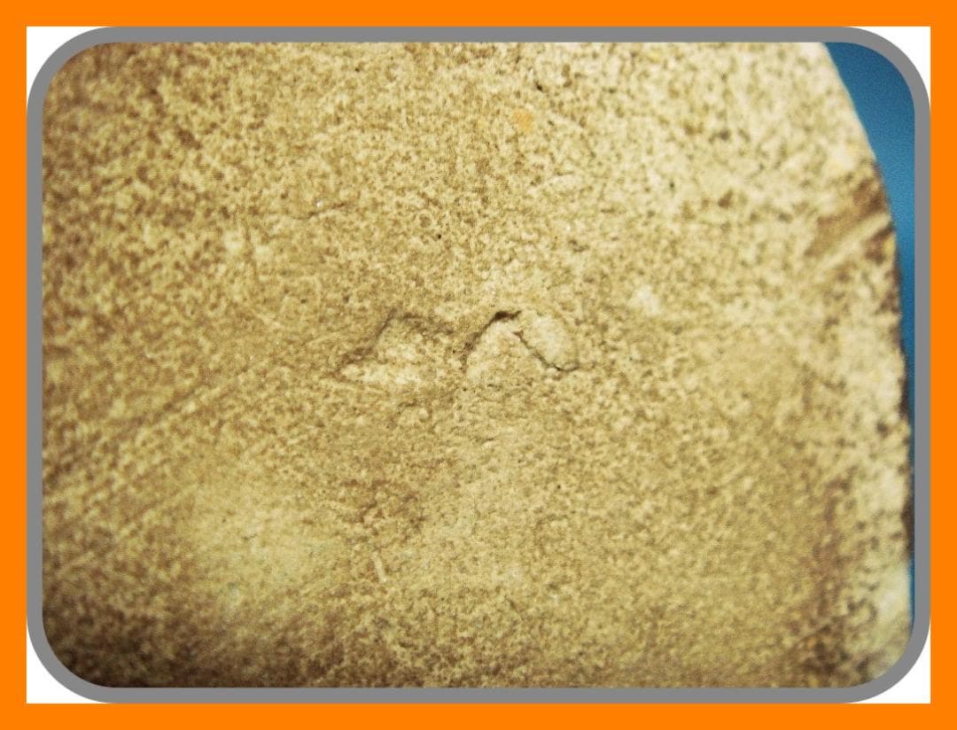 856『麦わら 四方猪口』　/骨董品 古美術 アンティーク 古玩