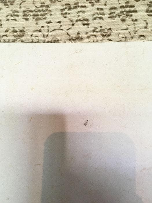 掛軸 漁村 人 舟 中国 山 銘あり 共箱 中古 古物 19.08.03-3.