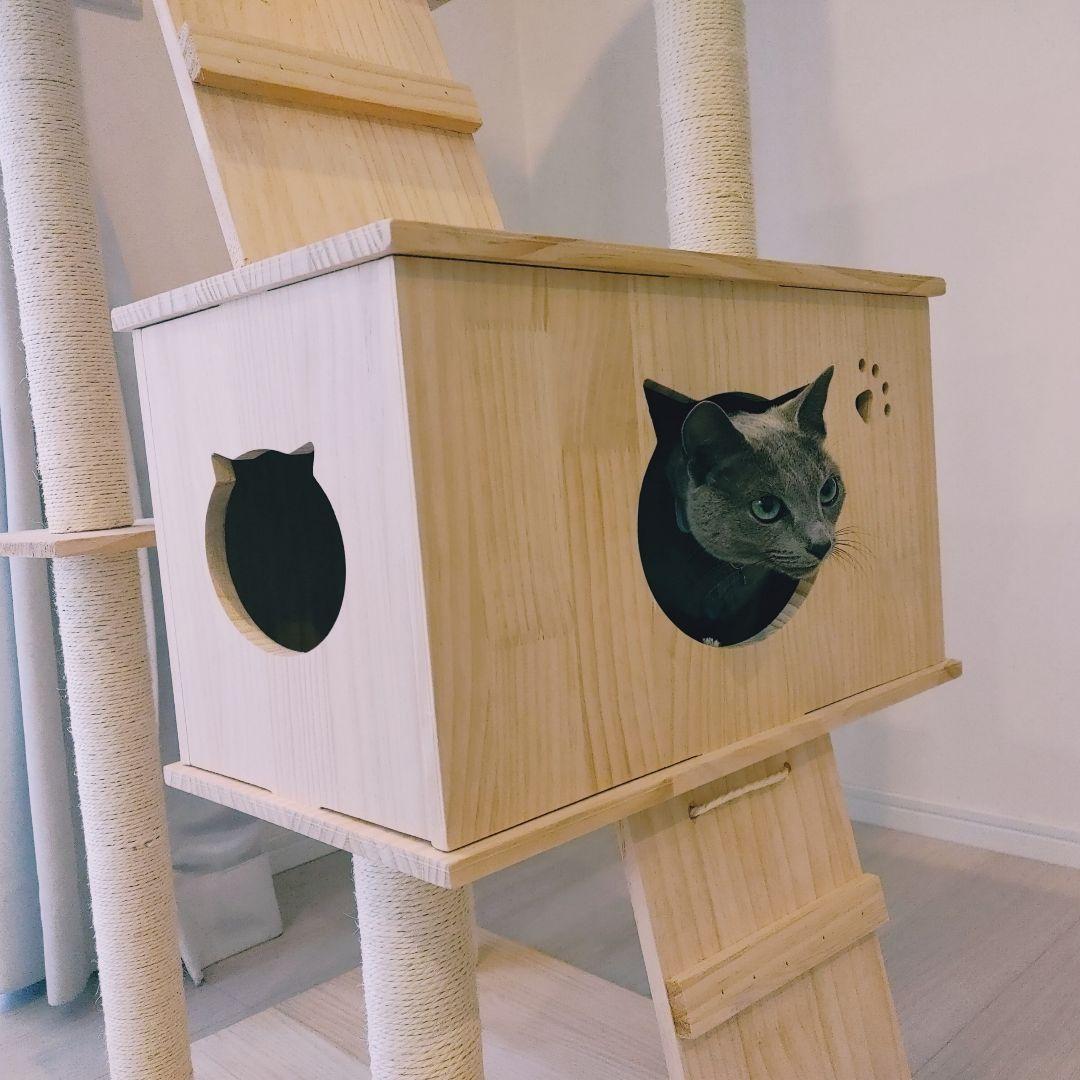 キャットタワー(限定品)新品 未使用品
