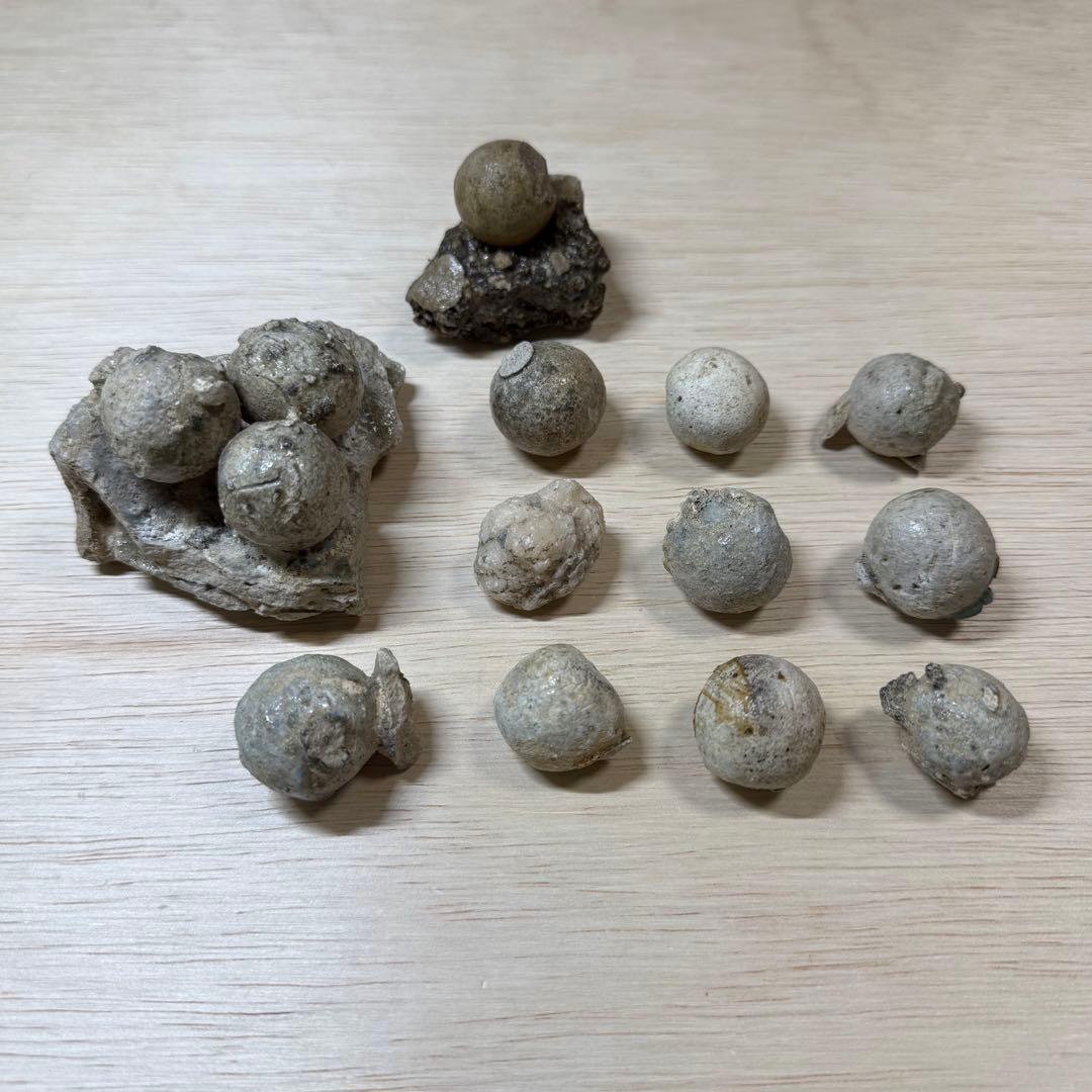 古瀬戸 陶丸 鎌倉時代 室町時代 陶片 発掘品 古常滑 古美濃 古美術 骨董品