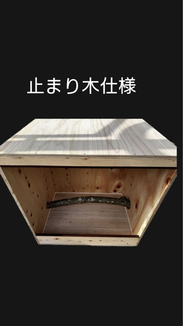 カゼ　飼育ケージ　爬虫類ケージ