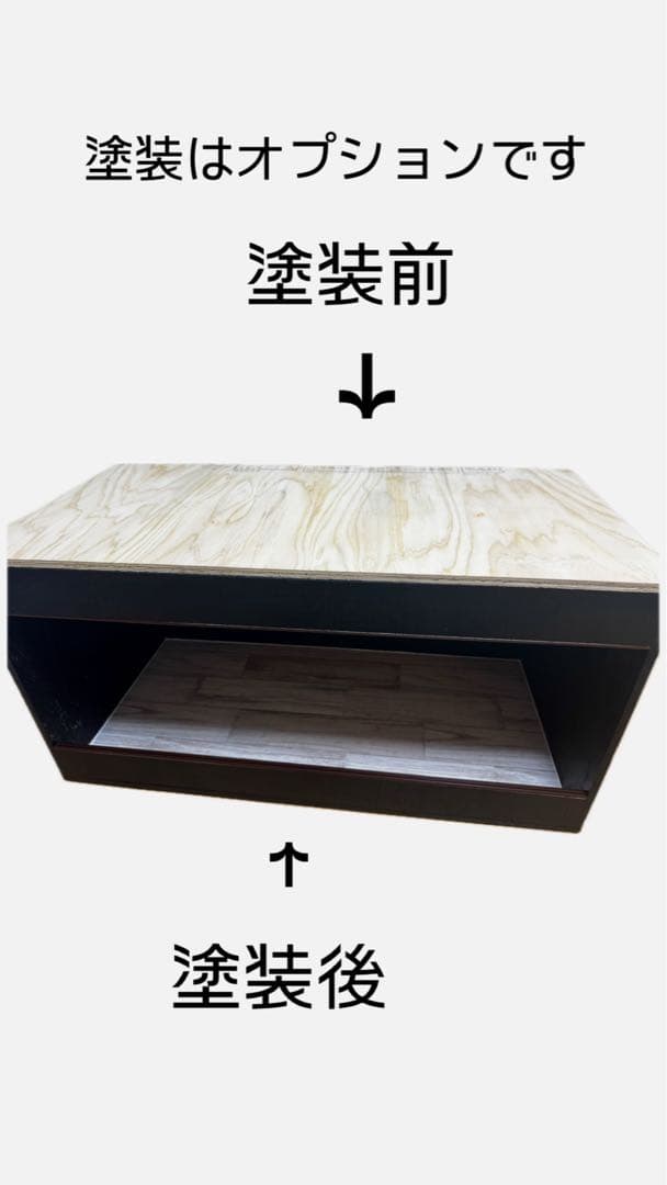 カゼ　飼育ケージ　爬虫類ケージ