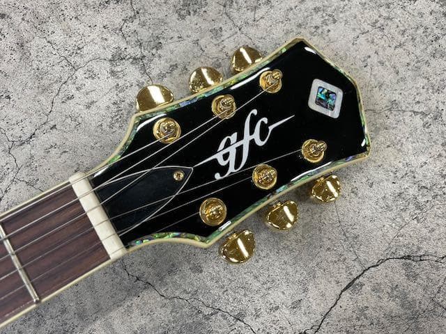 292 gfc GLP-750T WH エレキギター アウトレット