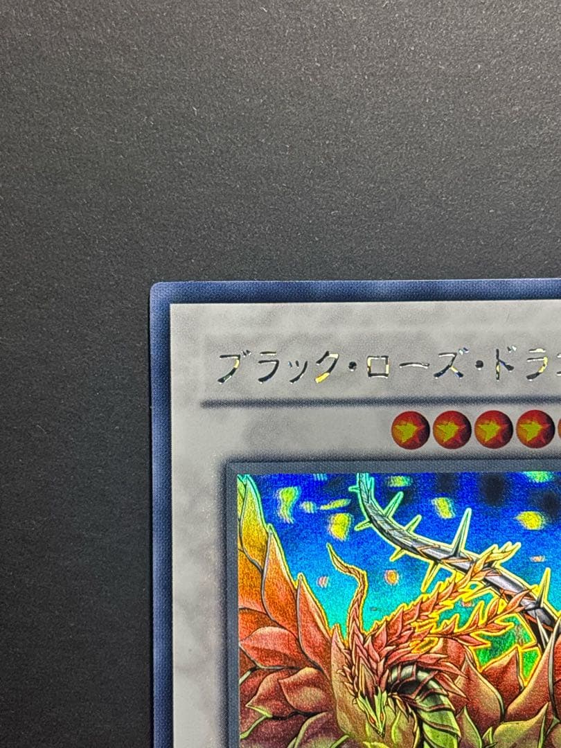 ブラック・ローズ・ドラゴン　ホログラフィック