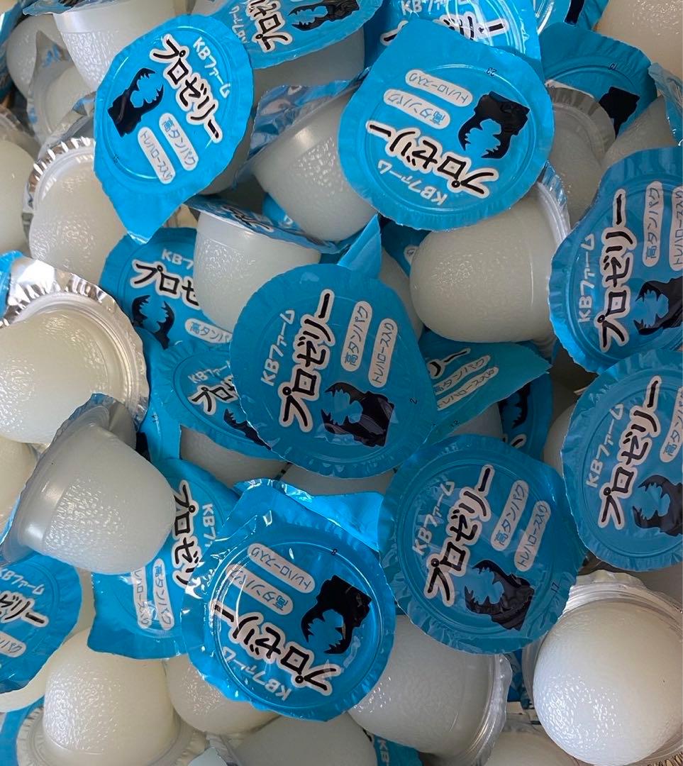 国産プロゼリー3000個KBファーム・カブトムシ　クワガタ 【木ぼく】