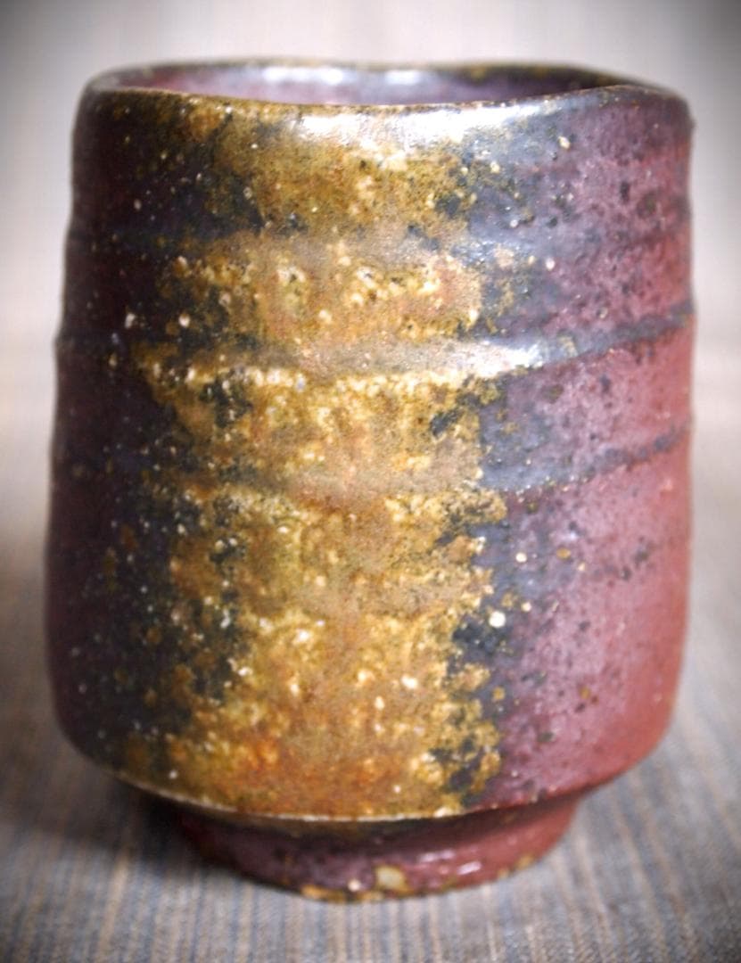 金重晃介【師＆父：金重陶陽】備前《窯変》湯のみ★共箱・栞