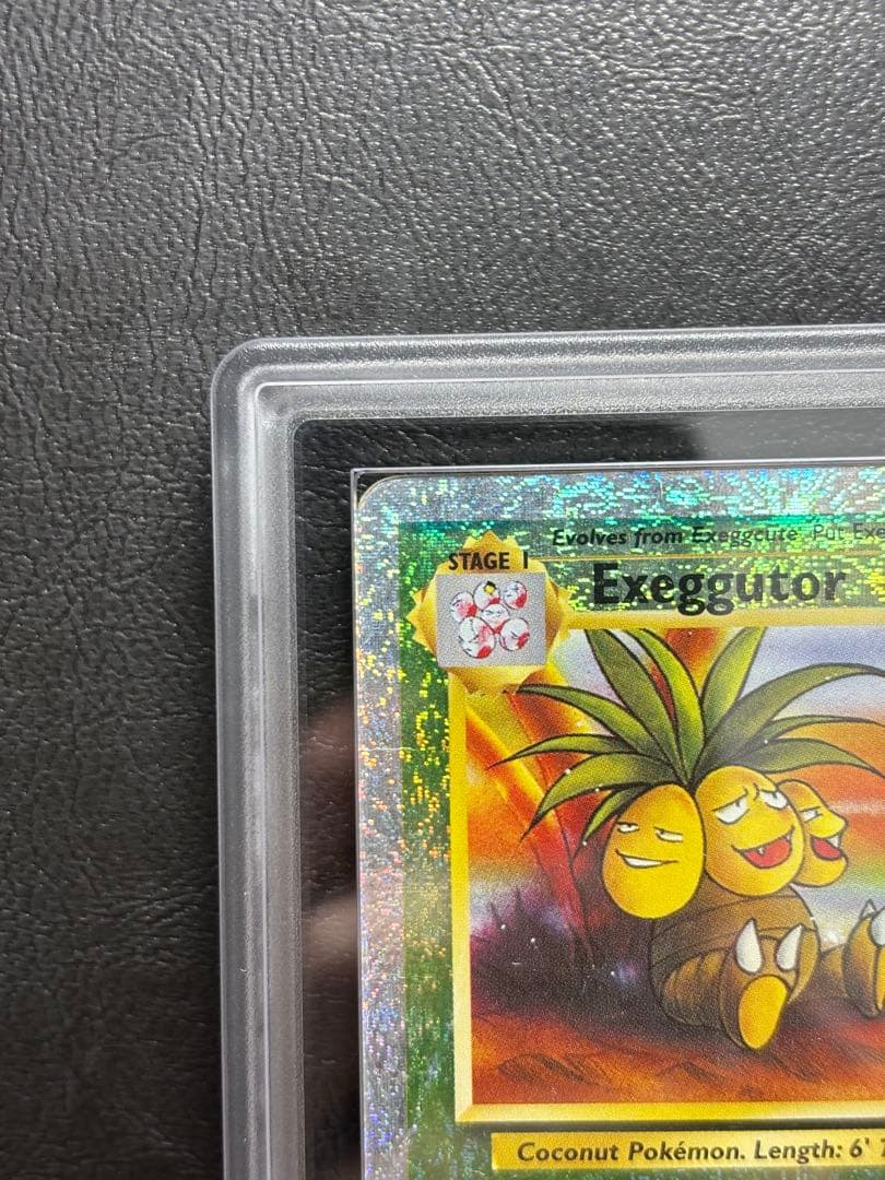 【ARS AU 真贋鑑定】ナッシー 英語 リバホロ 23/110