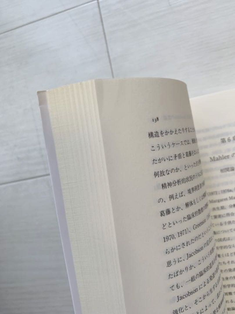 内的世界と外的現実　オットーF.カーンバーグ