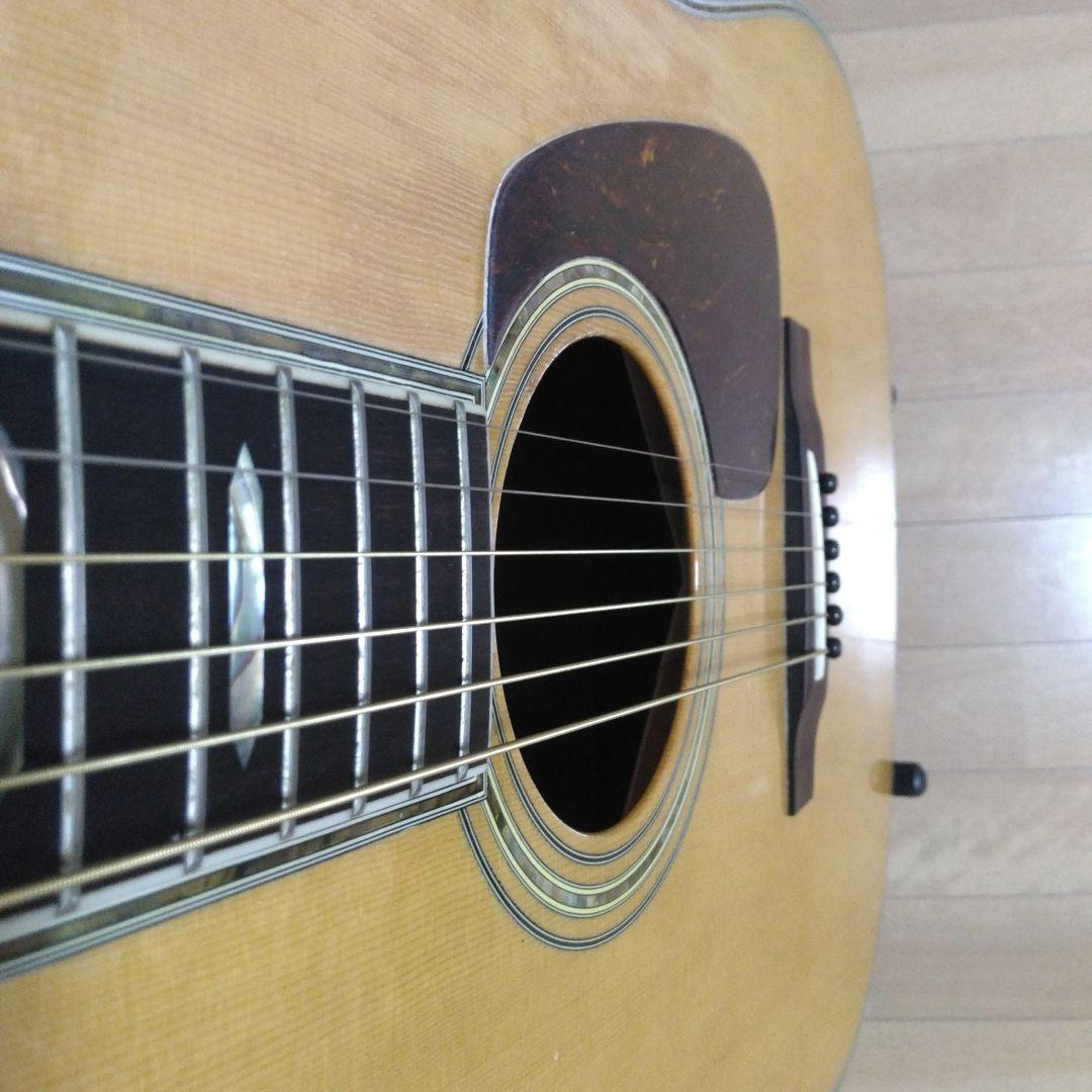 Morris モーリス　TF-100 アコースティックギター