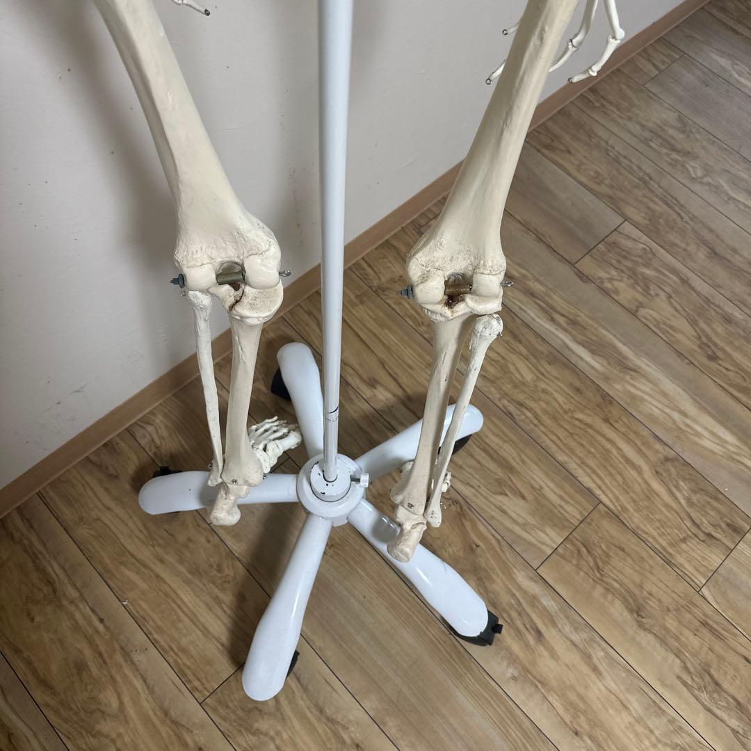 可動式人体模型 約170cm