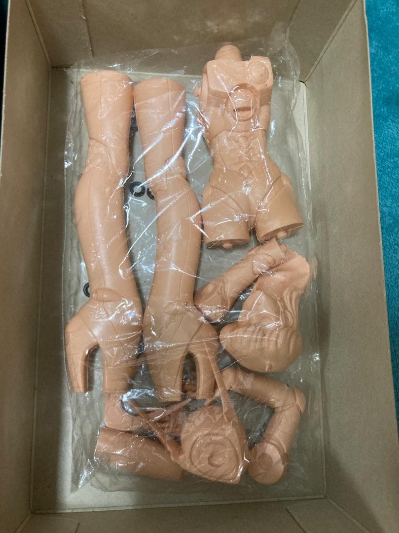 未組立 バブルガムクライシス　1/6 ガレージキット　PRISS C-7900