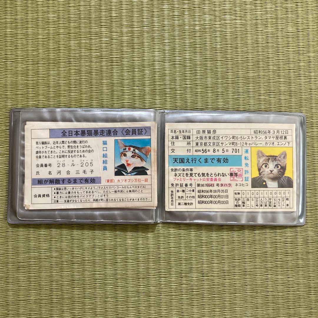 懐かしい　レア物　「なめんなよ」カードケース　カード３枚