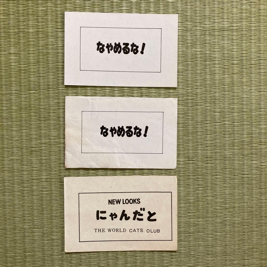懐かしい　レア物　「なめんなよ」カードケース　カード３枚