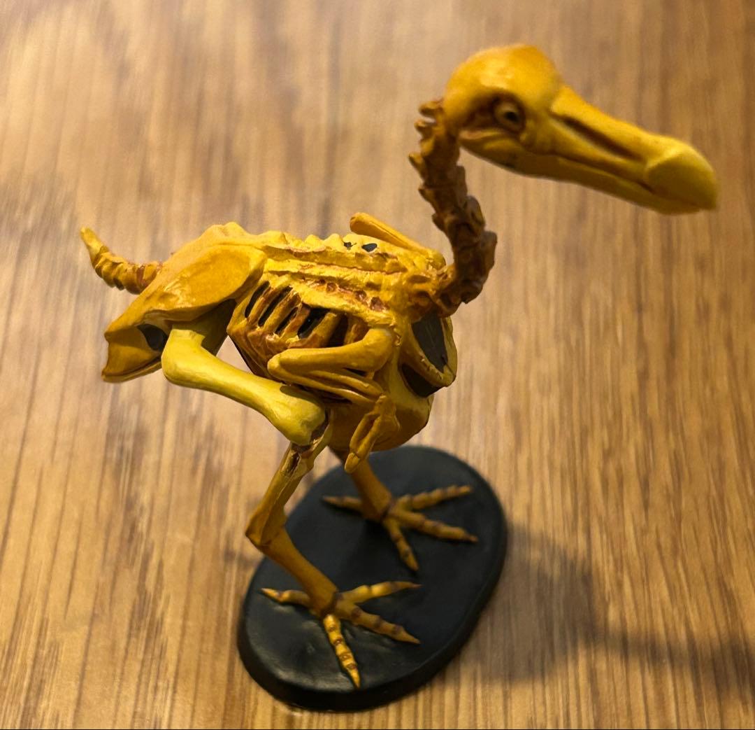 レッドデータアニマルズ　抽選品「ドードー　骨格バージョン」含むコンプリートセット