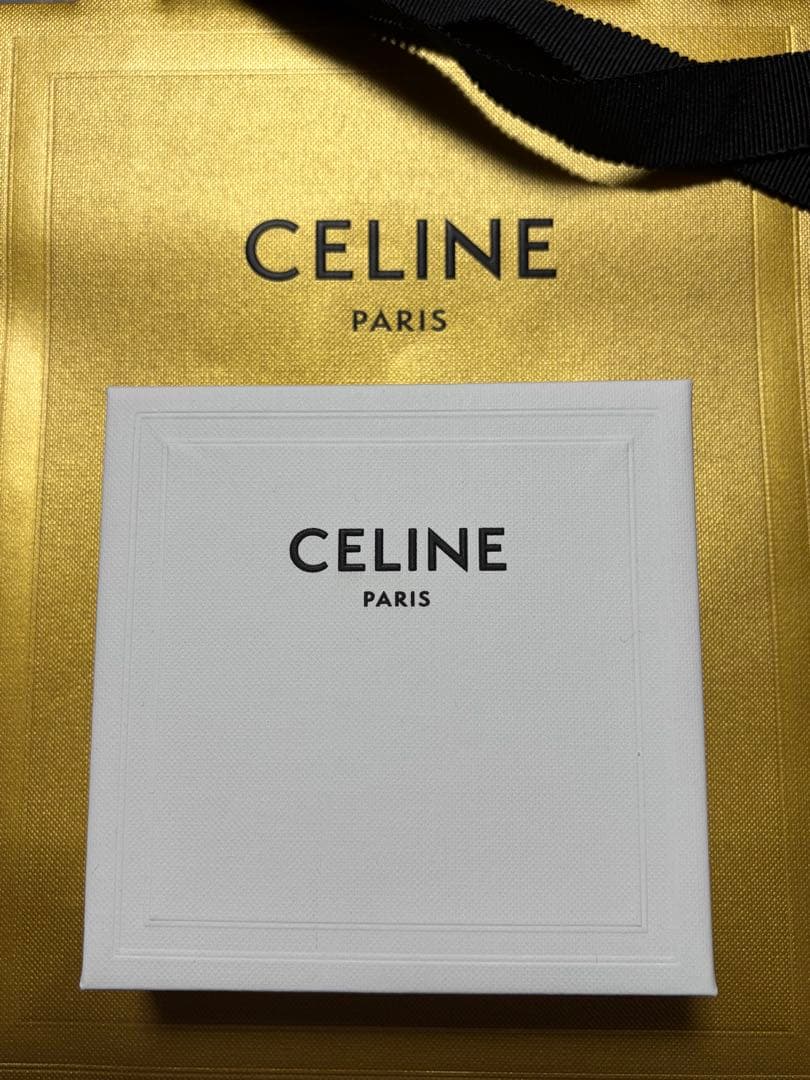 【美品・ケース、袋付き】CELINE トリフオンフスタッドピアス