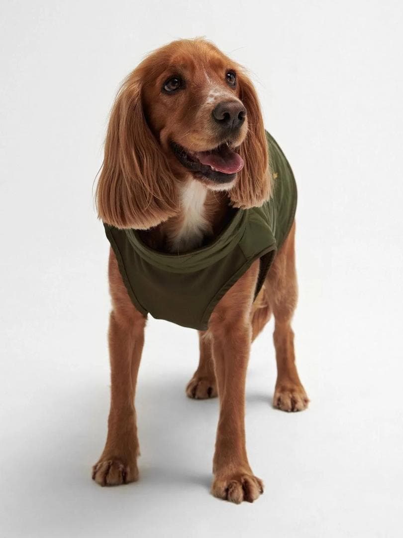 【新品・未使用】Barbour dog coat