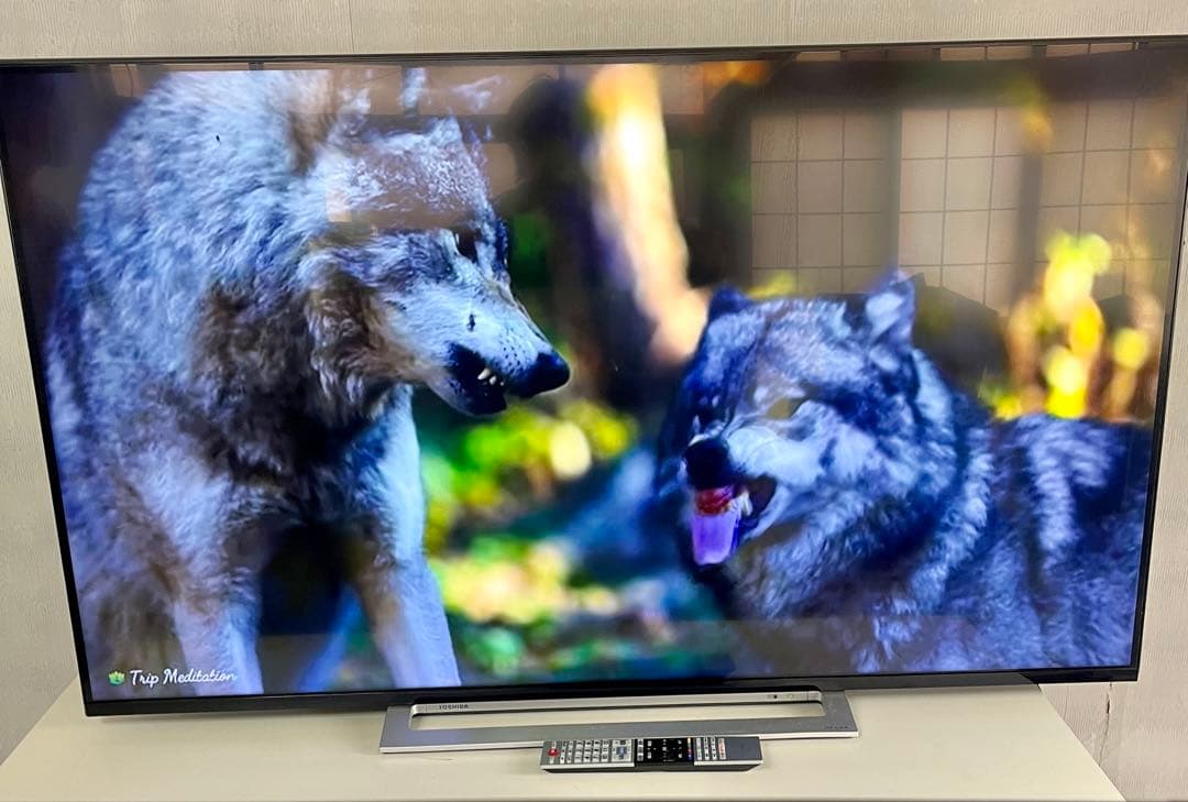 55M520X 液晶テレビ 55 型 4K チューナー内蔵 /YouTube