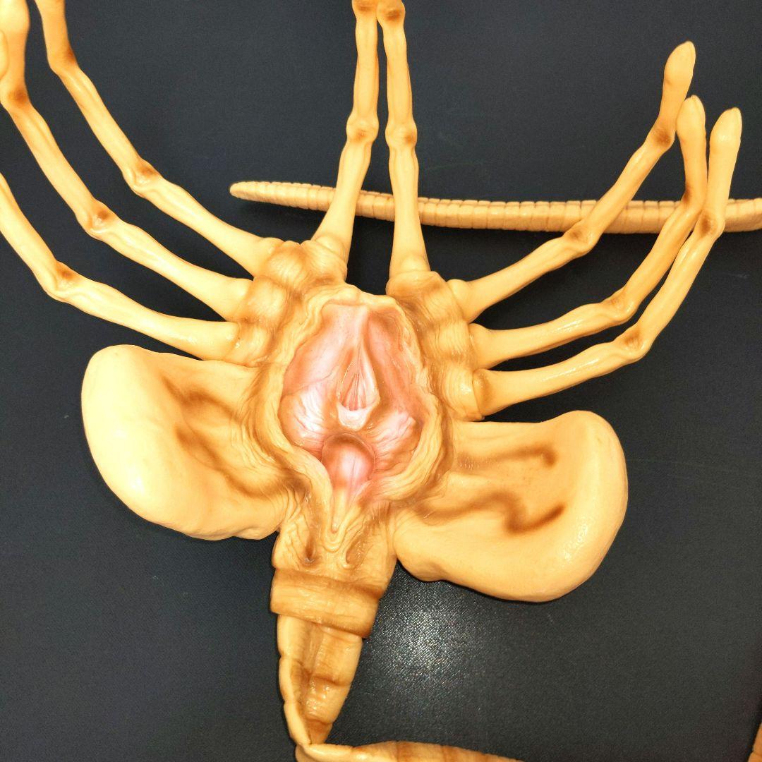 Face Hugger 1:1 フェイスハガーエイリアン　90s　実物大当時物