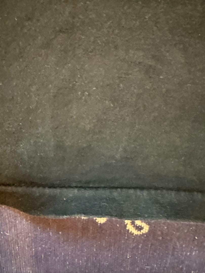 POWELL PERALTA パウエル サークルボーン 90s Tシャツ