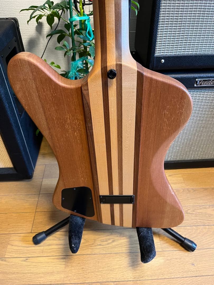 ベース Epiphone Thunderbird Pro IV