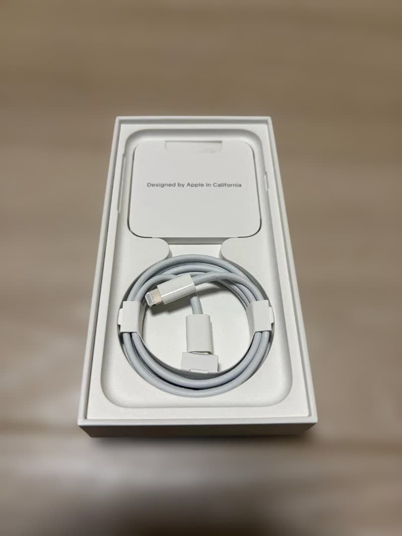 Apple iPhone SE (第2世代) 128GBブラック 箱＆おまけ付き