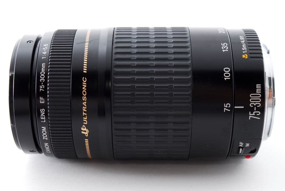 人気の望遠レンズ☆フード付き☆キヤノン　Canon EF75-300㎜