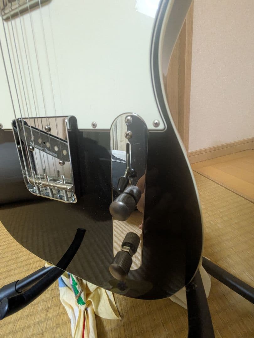 EDWARDS E-TE-100CTM/LT ダンカンPU ラッカー