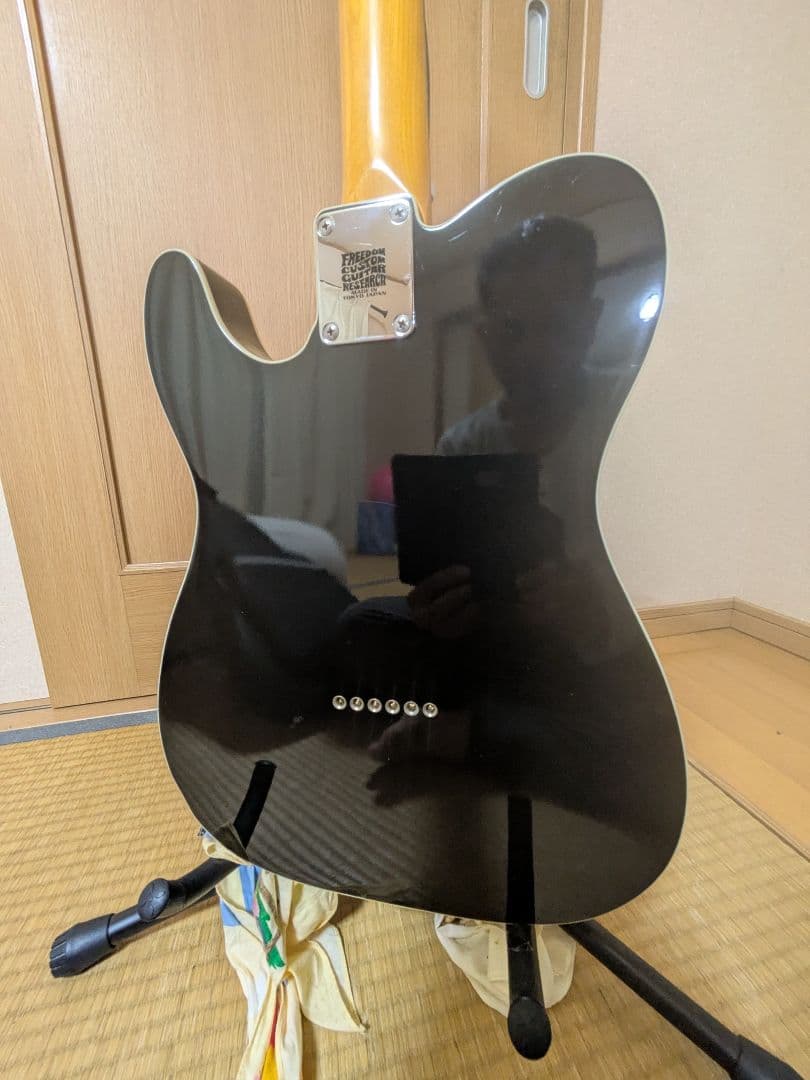 EDWARDS E-TE-100CTM/LT ダンカンPU ラッカー