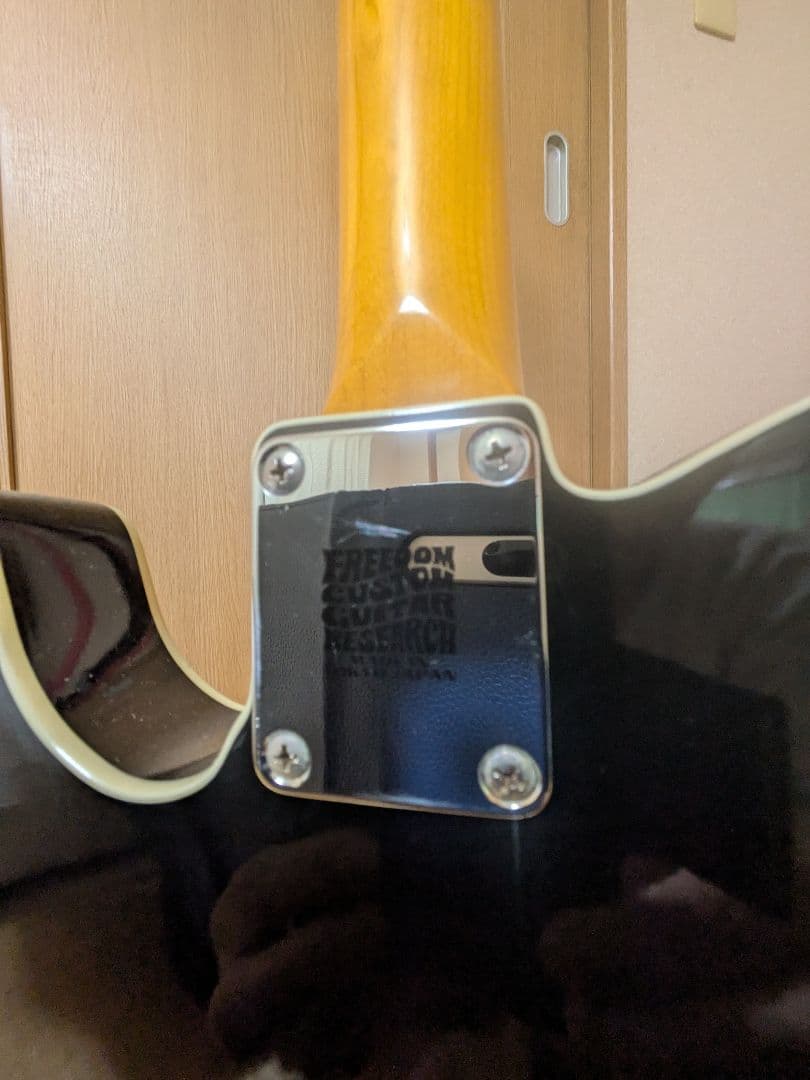 EDWARDS E-TE-100CTM/LT ダンカンPU ラッカー