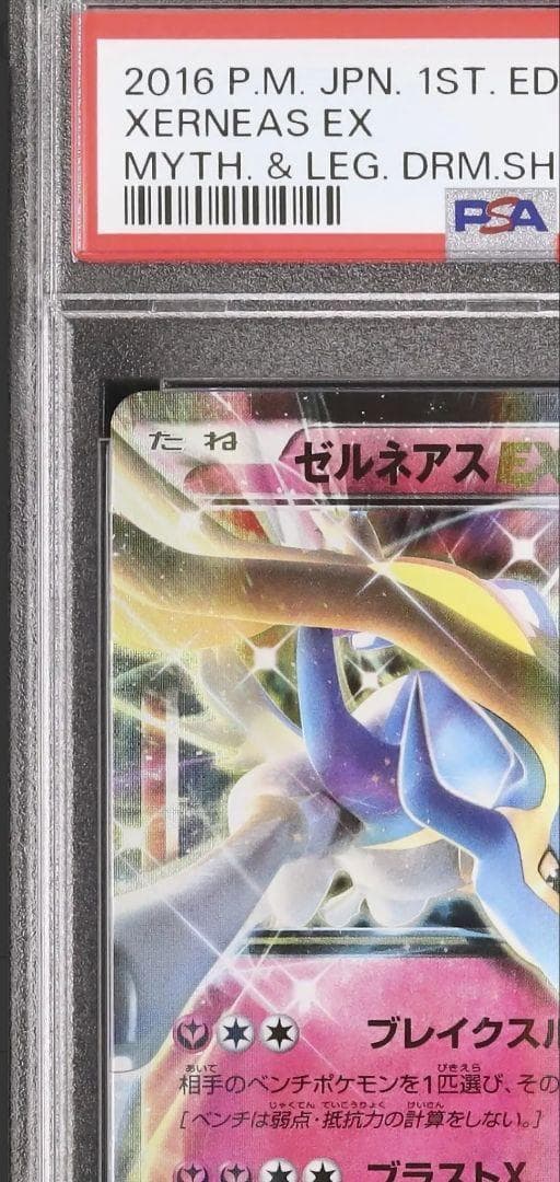 51 PSA ゼルネアスEX CP5 伝説 038 036 キラコレクション