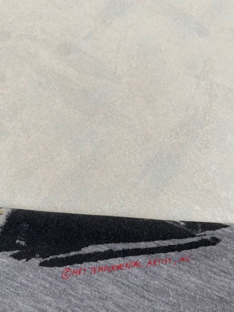 PAUL YOUNG WORLD TOUR 1987 Tシャツ フリーサイズ