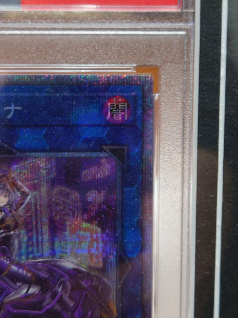 【PSA10】遊戯王 IPマスカレーナ 絵違い プリズマ プリシク