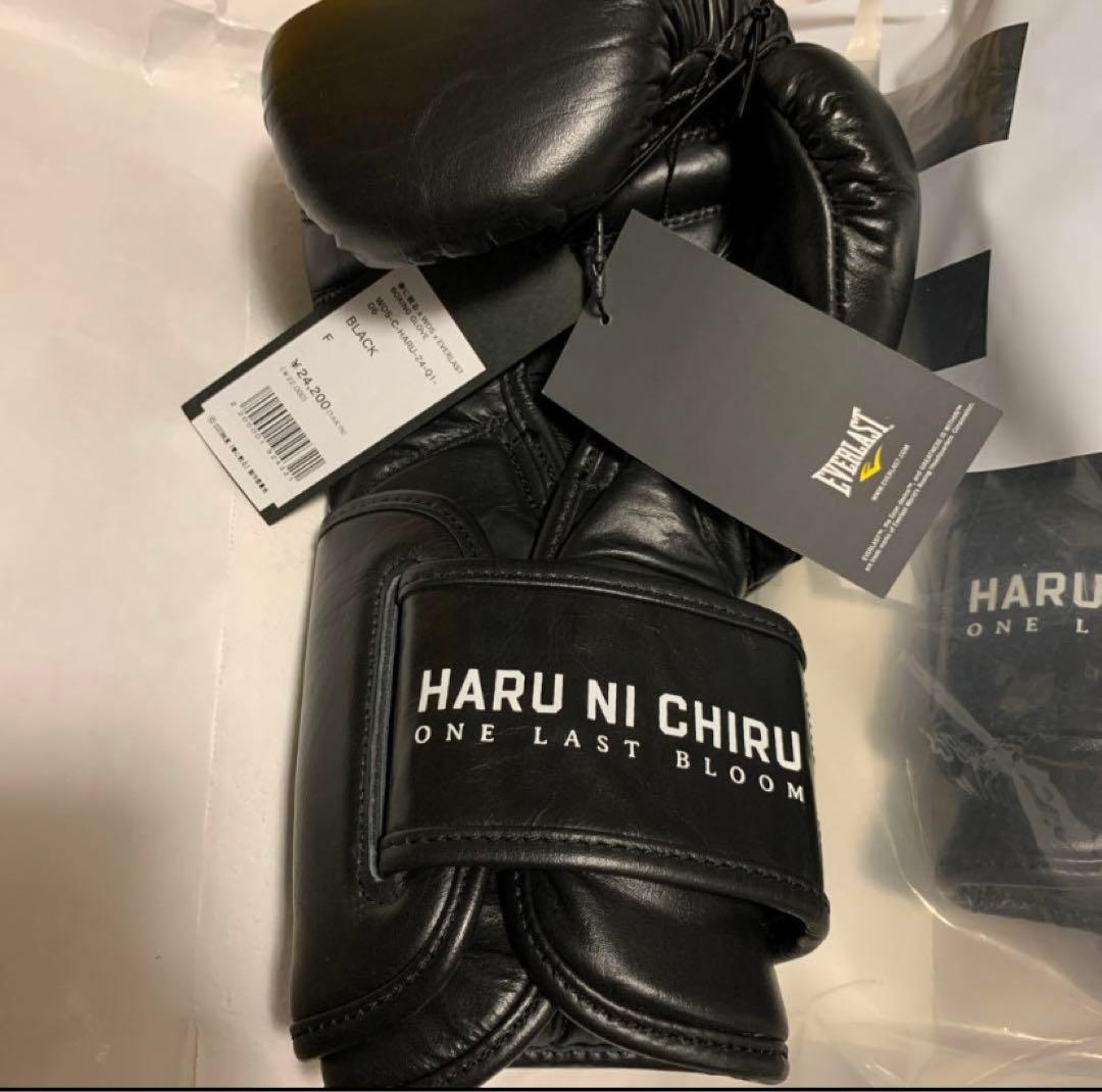 春に散る X WDS X EVERLAST BOXING GLOVE 10oz
