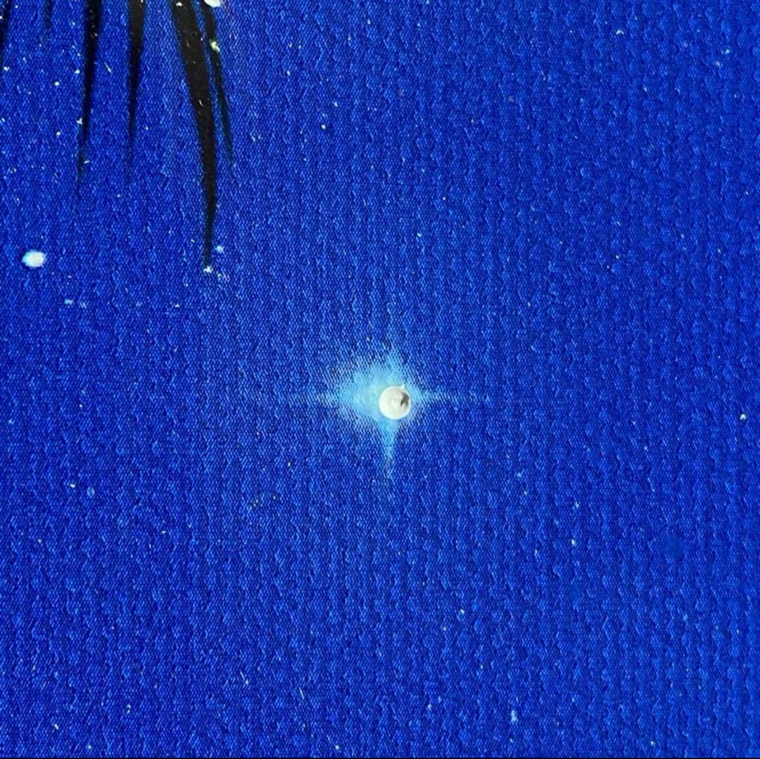 【美品版画】クリスチャン R ラッセン 『ムーンリット セレニティ』キャンバス