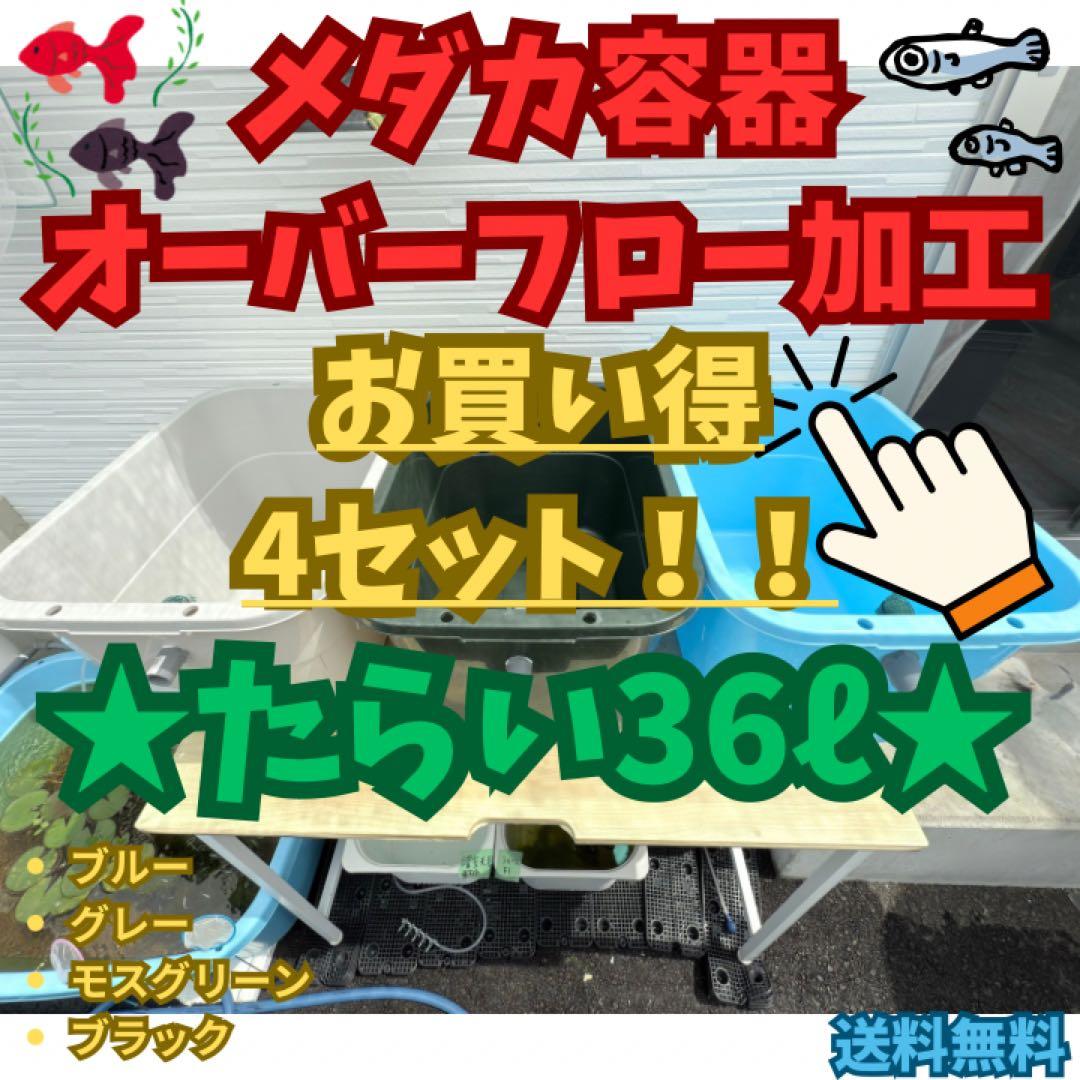 ★お買い得★たらい36L(4個)メダカ飼育容器オーバーフロー トロ舟プラ舟めだか