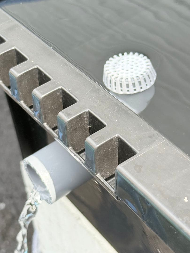 ★お買い得★たらい36L(4個)メダカ飼育容器オーバーフロー トロ舟プラ舟めだか