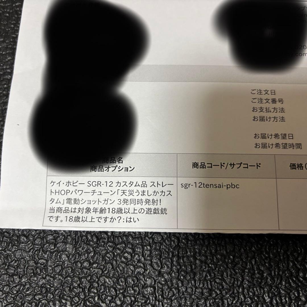 ニッシーSGR-12 天災うましかカスタム