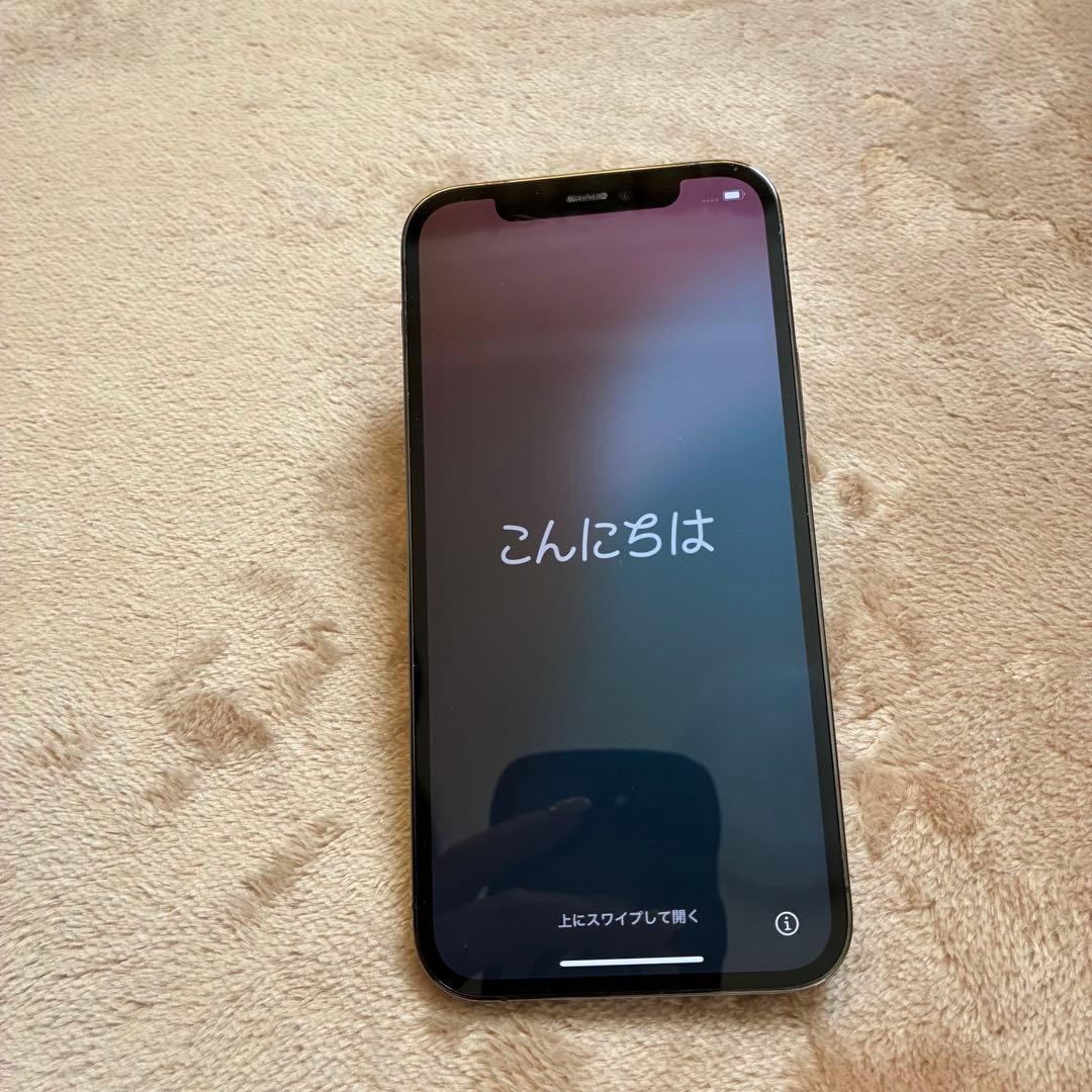 Apple iPhone 12 Pro 256GB グラファイト