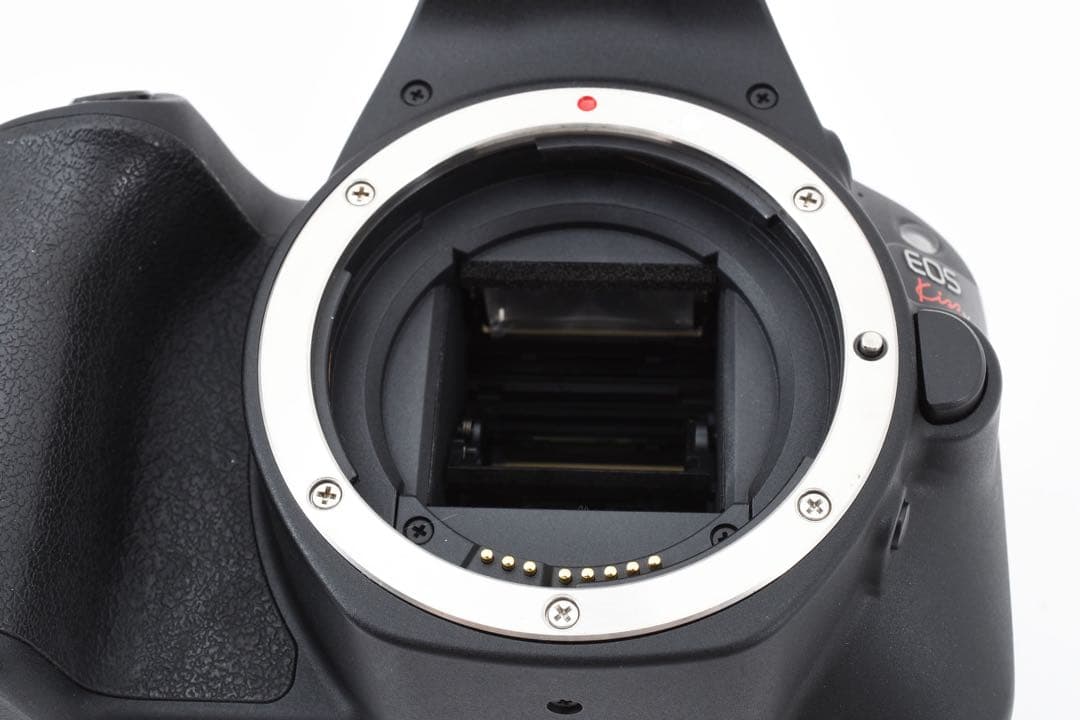 保証付き/Canon EOS KISS X9標準&望遠ダブルレンズセット