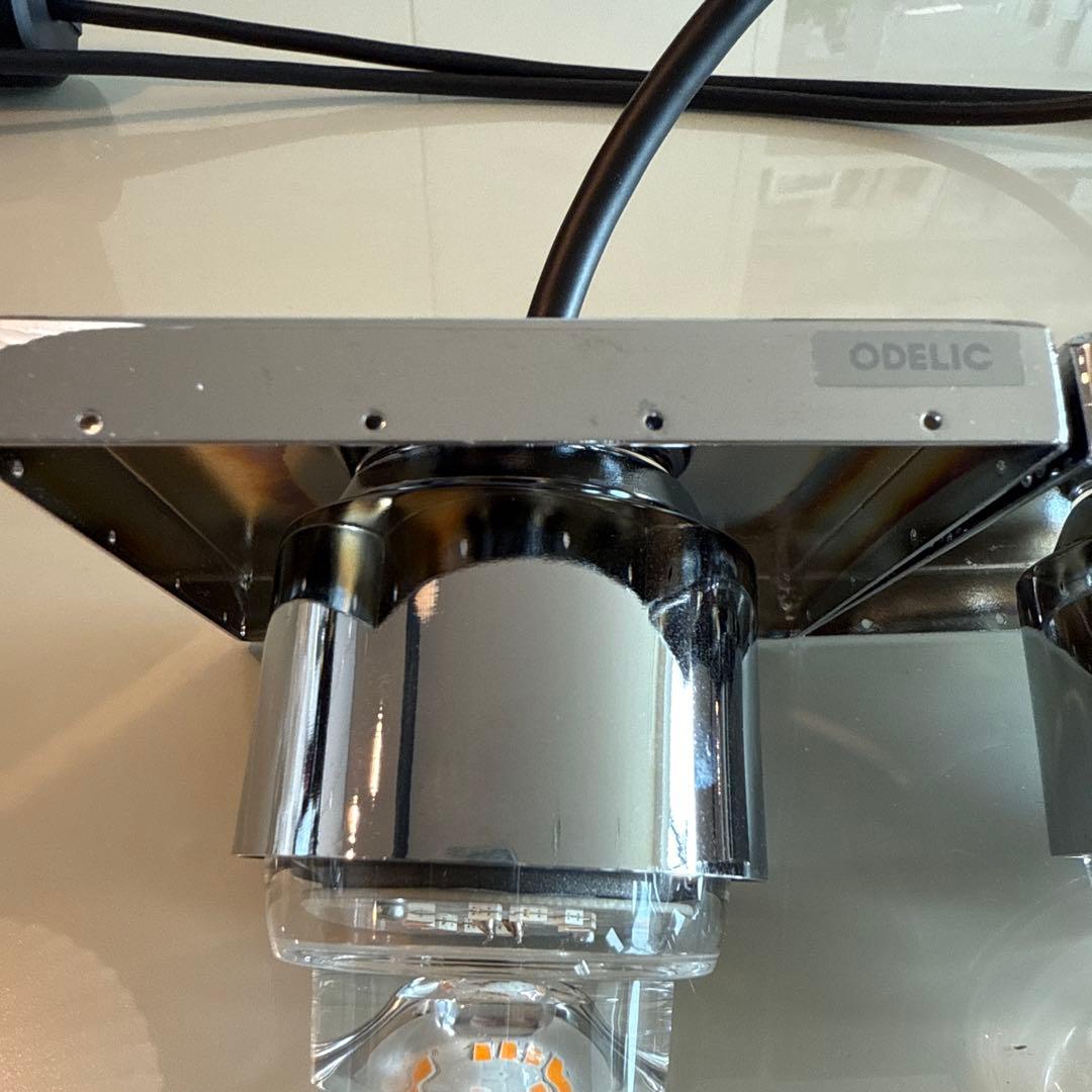 オーデリック　ペンダントライト　2灯 クリスタル調　ダクトレール ODELIC