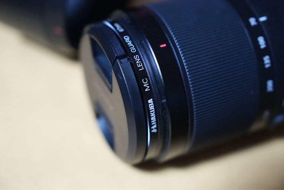 レンズ(ズーム) SONY E 70-350 G OSS SEL70350G