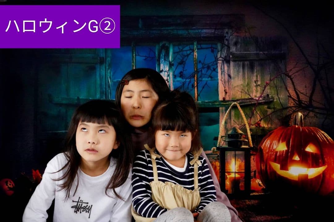 縦長　背景布×8+1　ペット撮影用ブース　トリミングチョーカー販売中　クリスマス