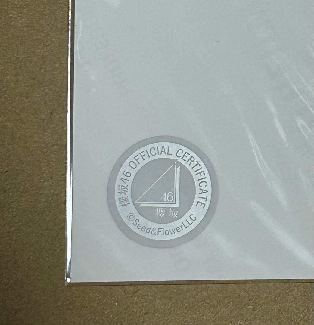 櫻坂46 石森璃花 直筆生写真