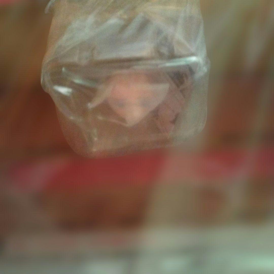 無職転生 ロキシー・ミグルディア 1/8スケールフィギュア※コトブキヤ限定特典付