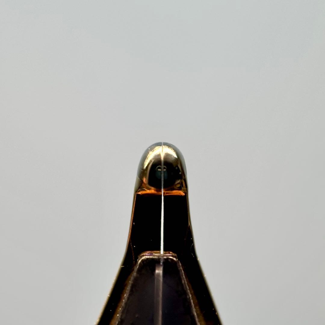 PILOT 万年筆 カスタム823 森山スペシャル コース Cニブ ブラウン軸