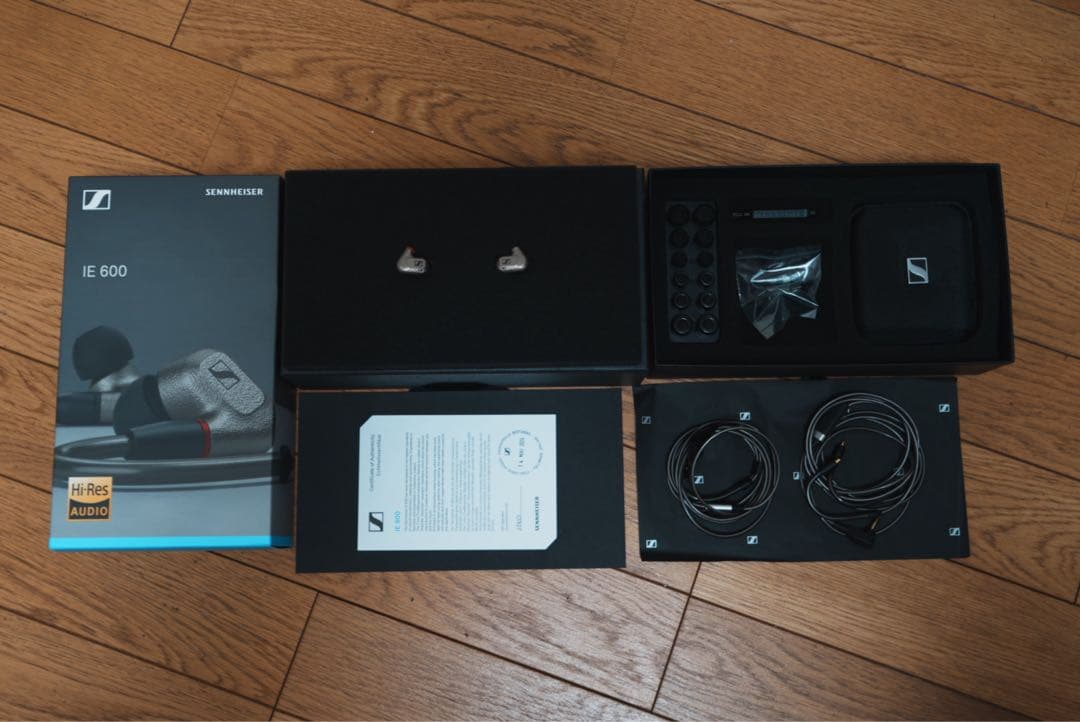 IE 600＋fiio q3 2021