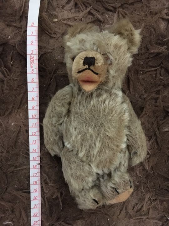 ゾッティ　ぬいぐるみ